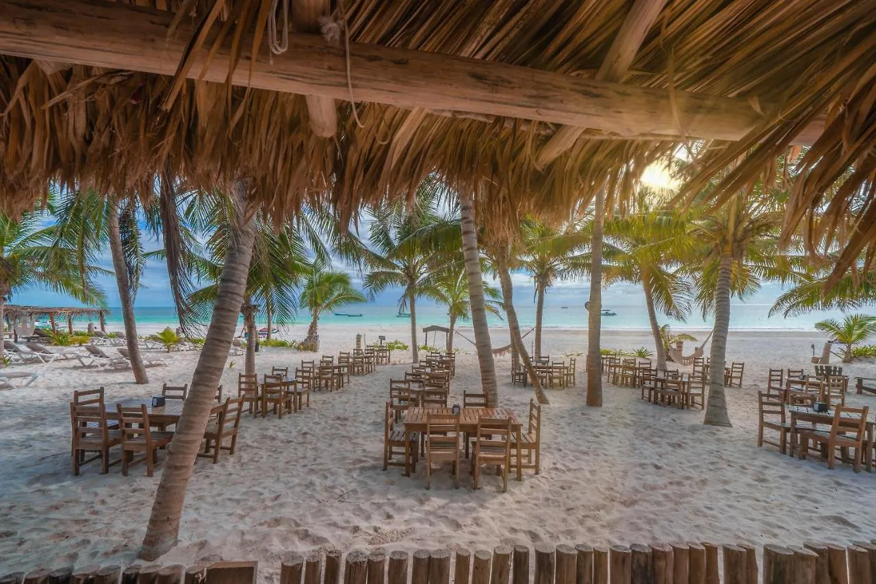 ****  Alito Tulum Hotel Mexikó