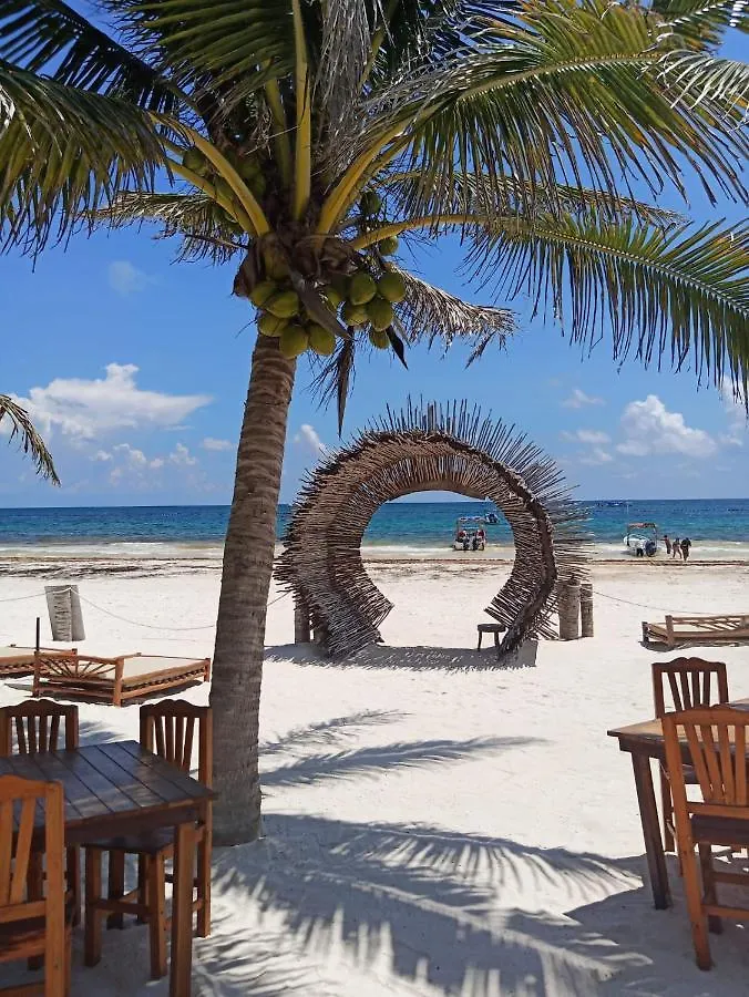 Alito Tulum Hotel