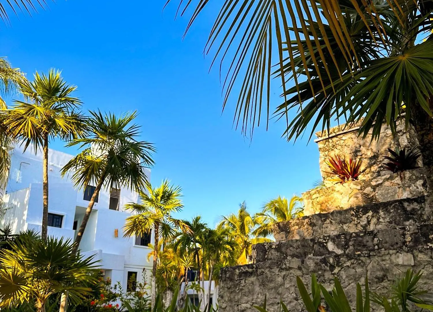 Alito Tulum Hotel 4*,