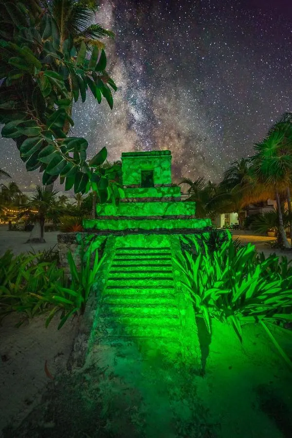 Alito Tulum Hotel 4*,
