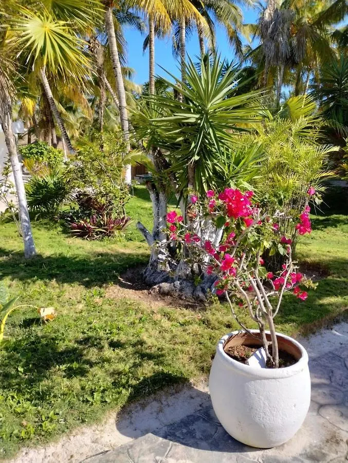 ****  Alito Tulum Hotel Mexiko