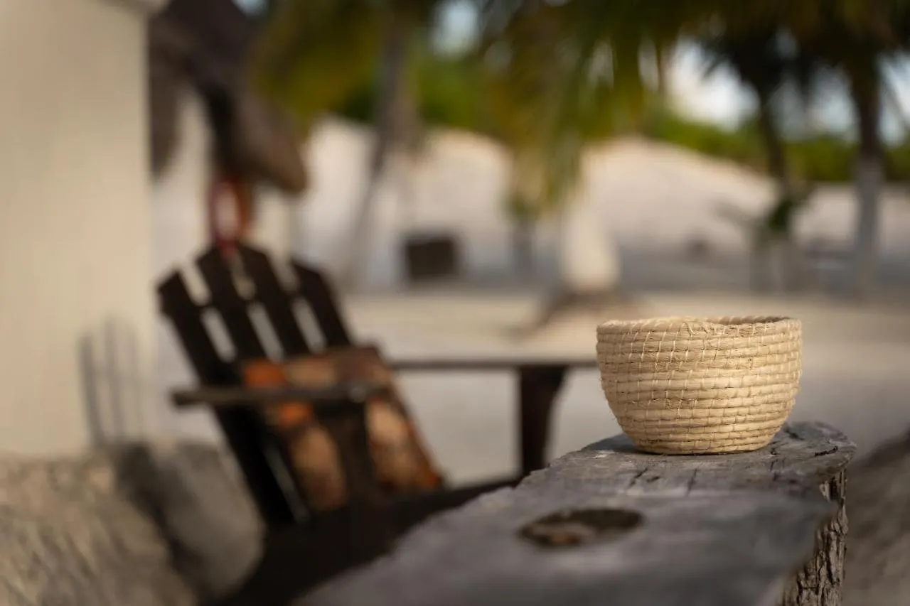 ****  Alito Tulum Hotel México