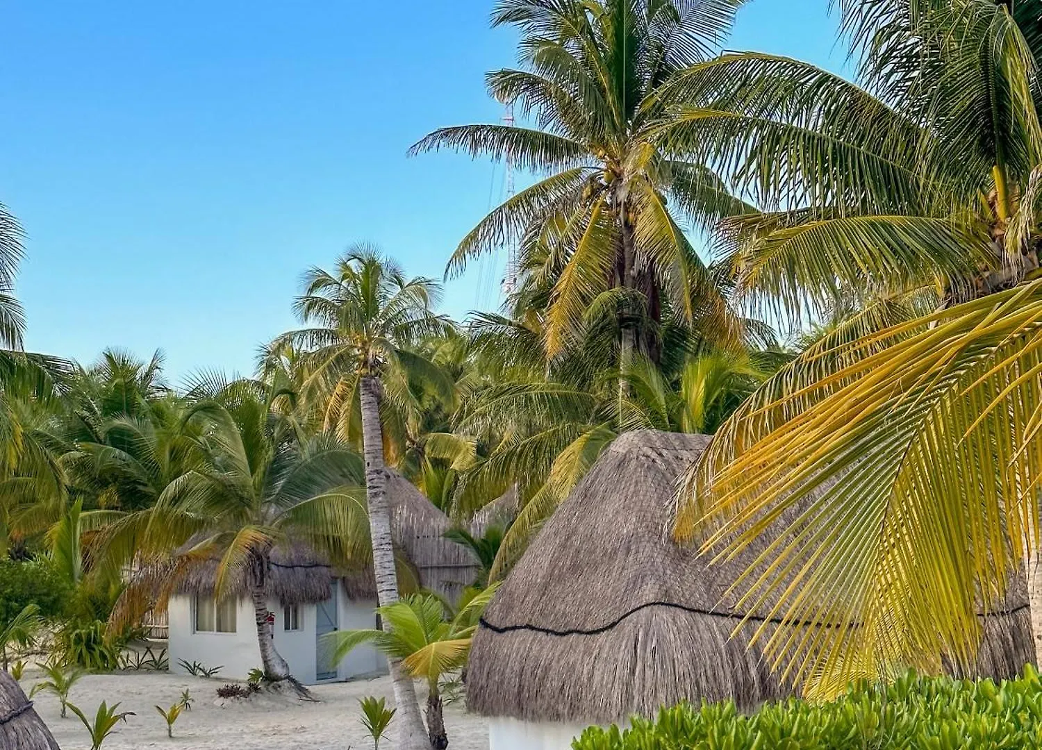 Alito Tulum Hotel